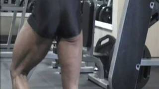 Wendy Mcmasters Magical Muscular Manipulation