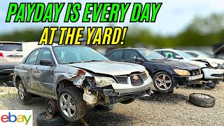 Payday Is Every Day at the Junkyard! 💰