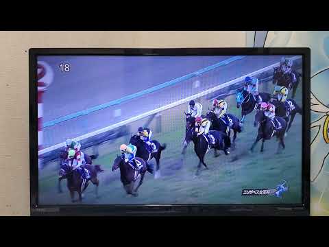 競馬収録放送第46回エリザベス女王杯(GⅠ)
