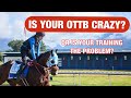 OTTB Misconceptions: blaming the horse for your problems