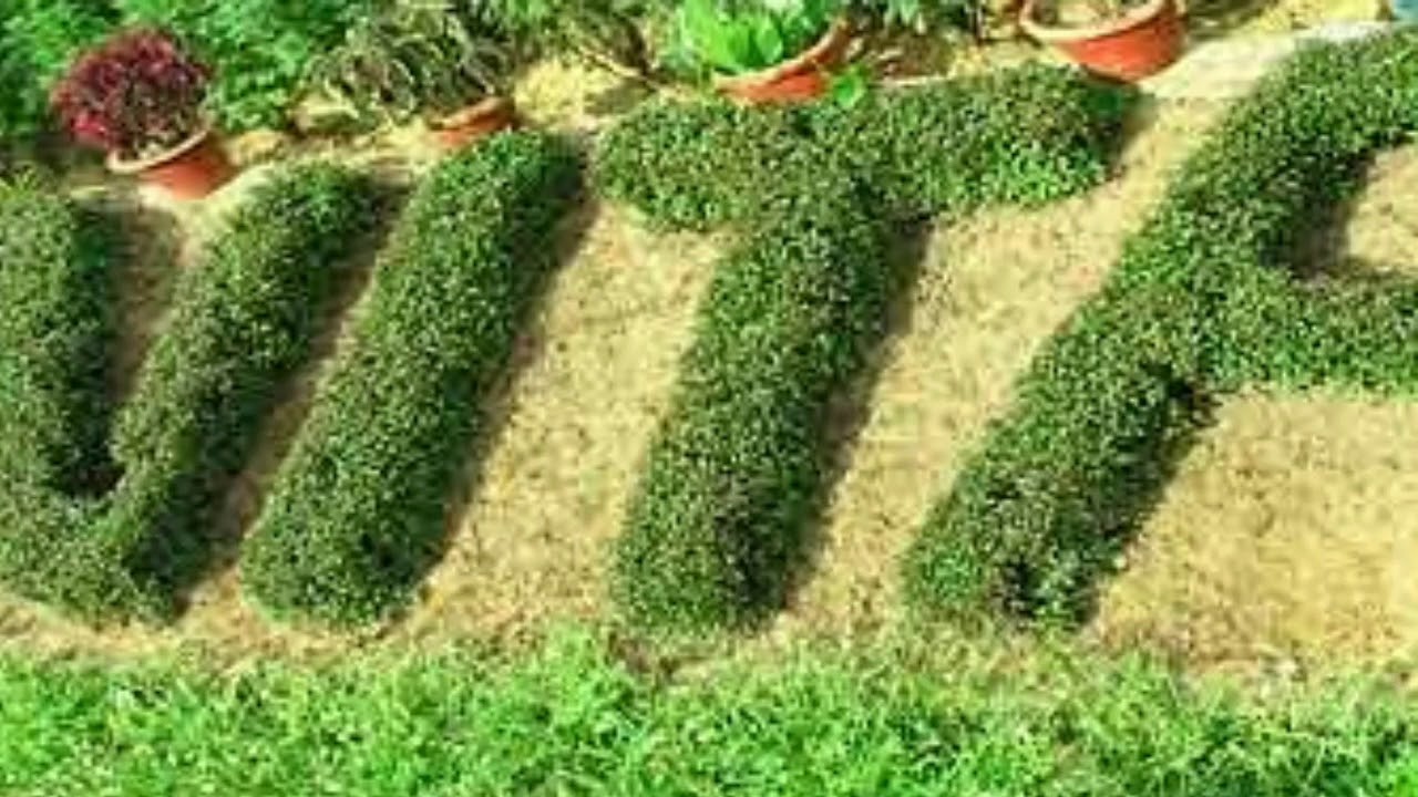 NIT Agartala Campus Tour YouTube