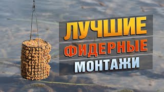 Самые Популярные Монтажи Для Фидера! Патерностер или Инлайн?