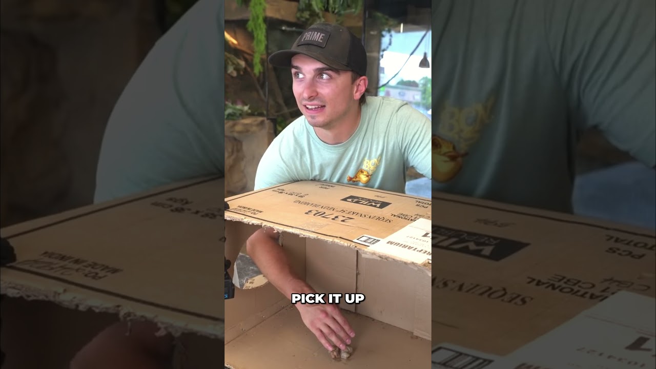Would You Put Your Hand in This Box?!