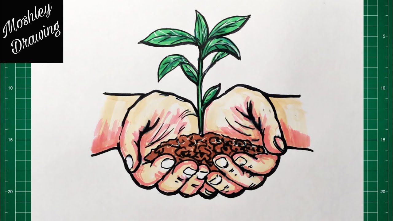 How to Draw Hands Holding a Plant
