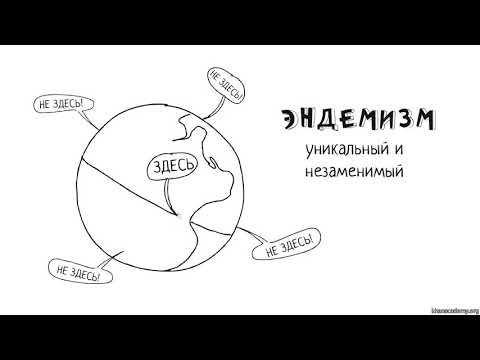 Видео: Что делает биоразнообразие горячей точкой?