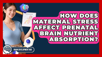 How Does Maternal Stress Affect Prenatal Brain Nutrient Absorption? - Brain Development Hub