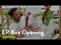 MASSIVE New Nepenthes! | EP Box Opening Spring 2021