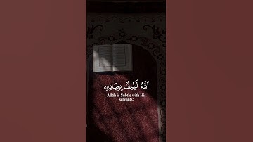 الله لطيف بعباده || صوت هادئ 🌱 #القرآن_الكريم #تلاوة_خاشعة #راحة_نفسية