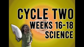 Cycle 2 Weeks 16, 17, 18 Newton