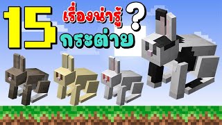 15 เรื่องน่ารู้? กระต่าย ในเกม Minecraft 🐰🐰