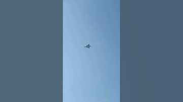 vigorous Dragon in action #j10c #shorts #short