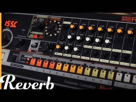 Roland TR-08 Rhythm Composer | Reverb Demo Video