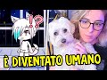 IL MIO CANE REAGISCE a un Gacha Life