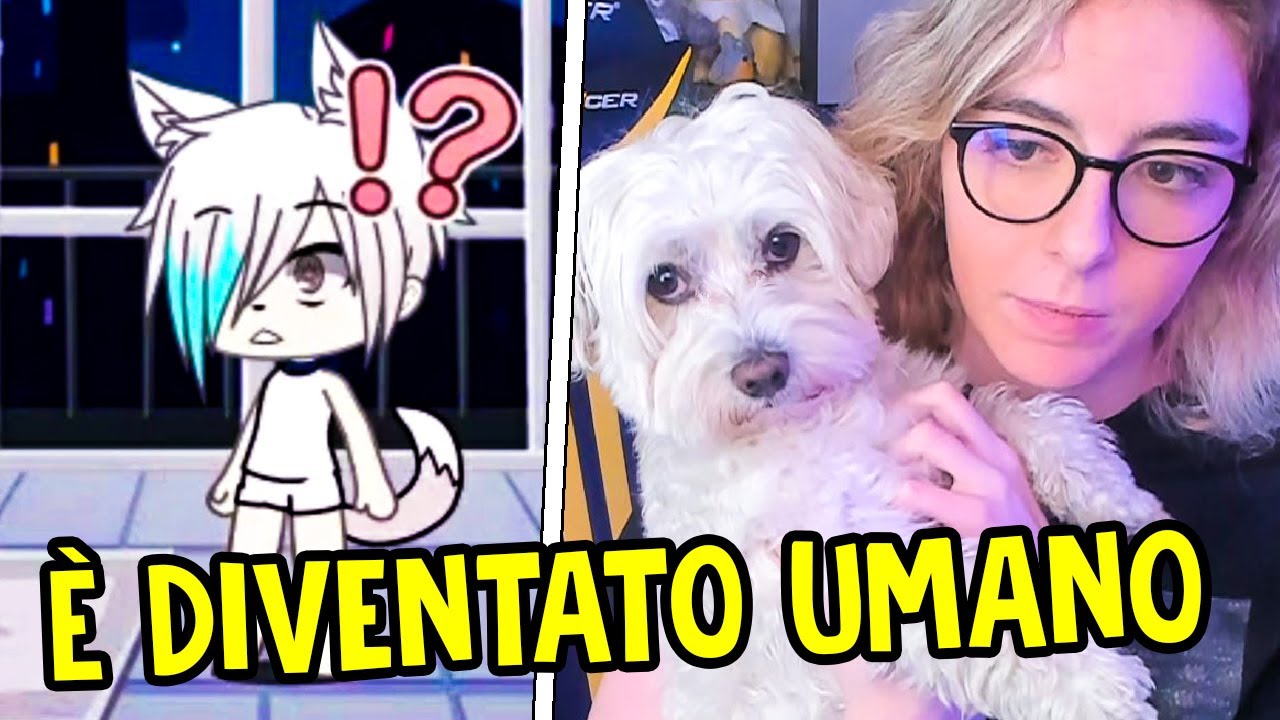 IL MIO CANE REAGISCE a un Gacha Life