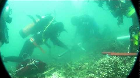 Keppels sediment coring video