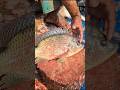 Perfect Tailapia Fish Cutting Skills In Bangladesh Fish Market