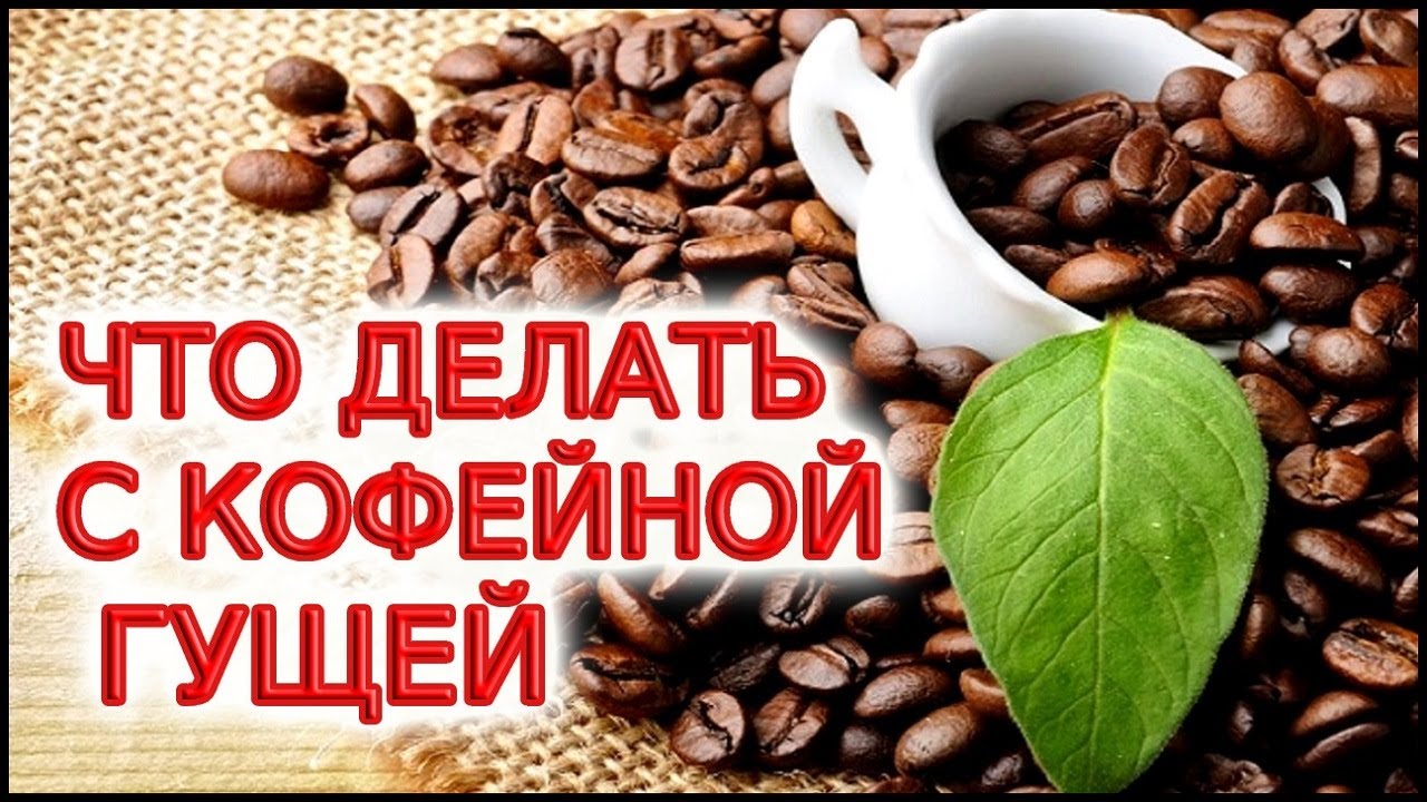 Что делать с кофейной гущей в вашем саду и доме? - YouTube