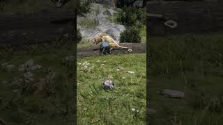 You Won’t Believe in Arthur’s Survival Skills in RDR2 P1449 😳 #shorts