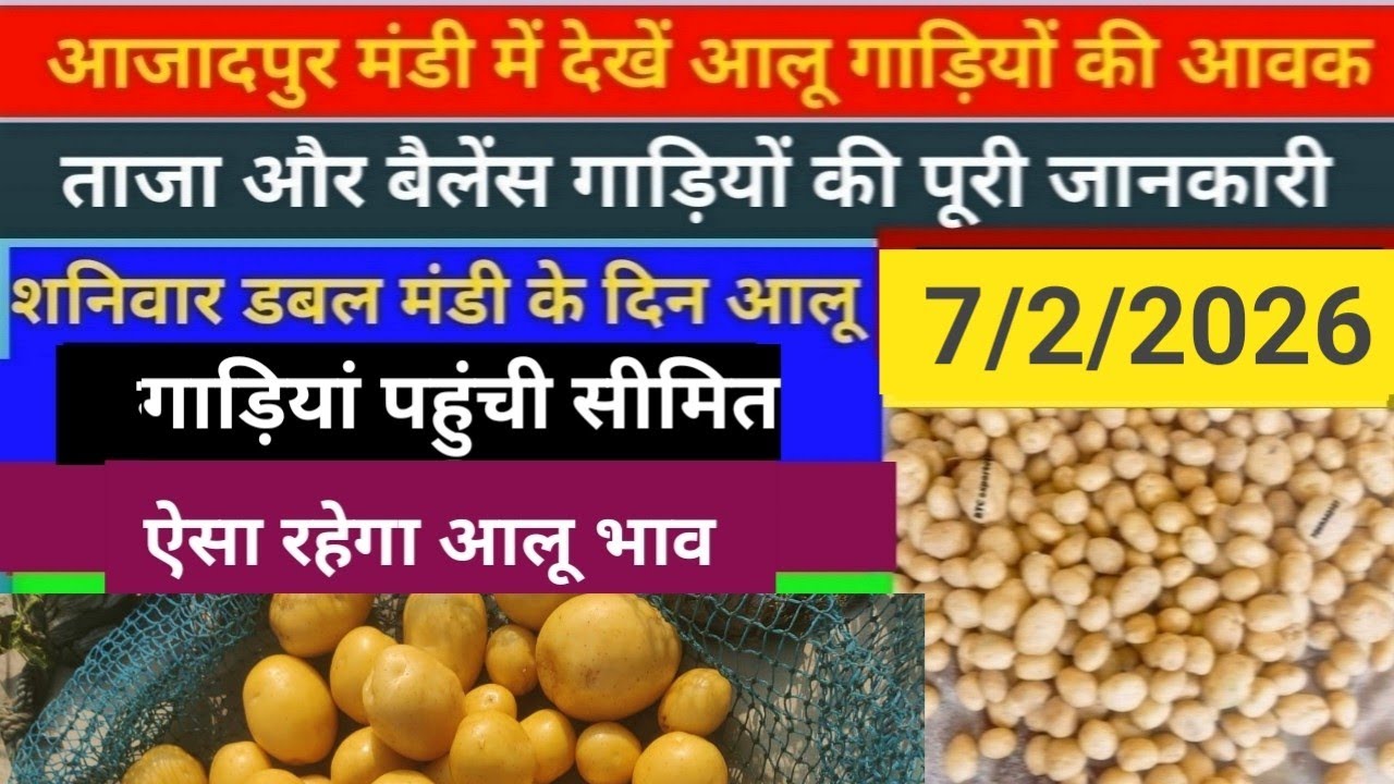 7/2/2026 आजादपुर मंडी में देखें आलू गाड़ियों की आवक//आलू गाड़ियां पहुंची सीमित//aalu ka bhav aaj ka 