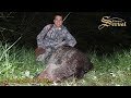 Wild Boar Hunting with Rob Kern