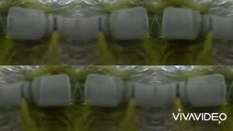 Dua lipa - Hallucinate (Snippet)