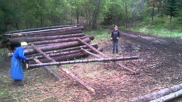 Montana horse logging. Decking 101!