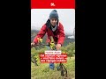 Cet aspirant vigneron veut faire revivre des cépages oubliés