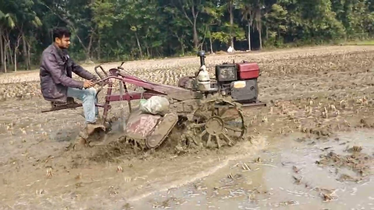 কাঁদার ভিতর পাওয়ার টিলার চলছে/ 