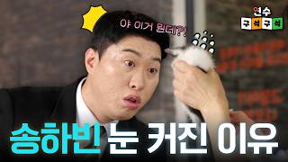 [연수구석구석] 송하빈이랑 고양이😸 나오는데 안 볼거야? | 2회 마마스캣카페
