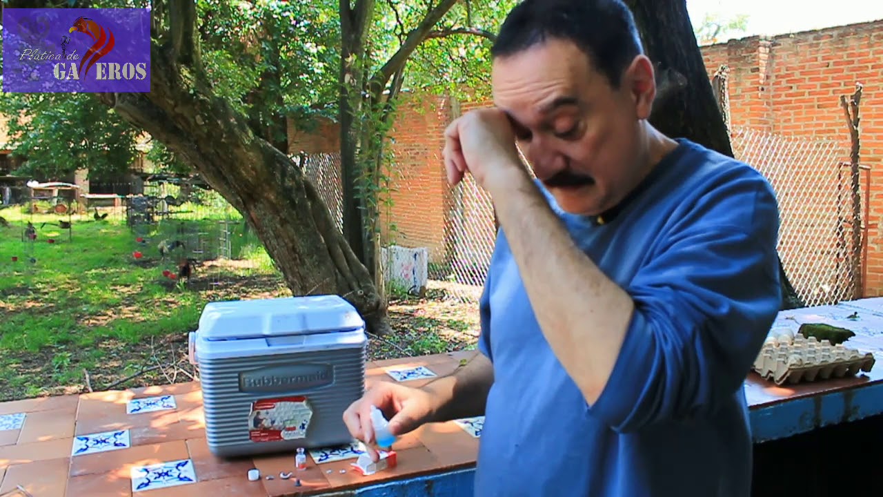 Vacuna contra Newcastle