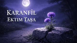 Karanfil Ektim Taşa - Geleceğin Şarkıları (Anatolian Rock • Bağlama)