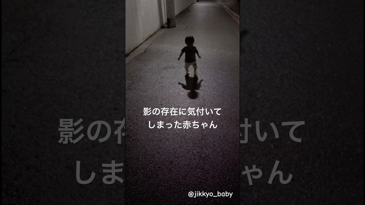 生後11ヶ月にして、影の存在に気づきおびえる赤ちゃん #baby #赤ちゃん #影 #実況 chinsenagoさんより！