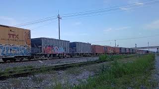 FEC 802 - NSB