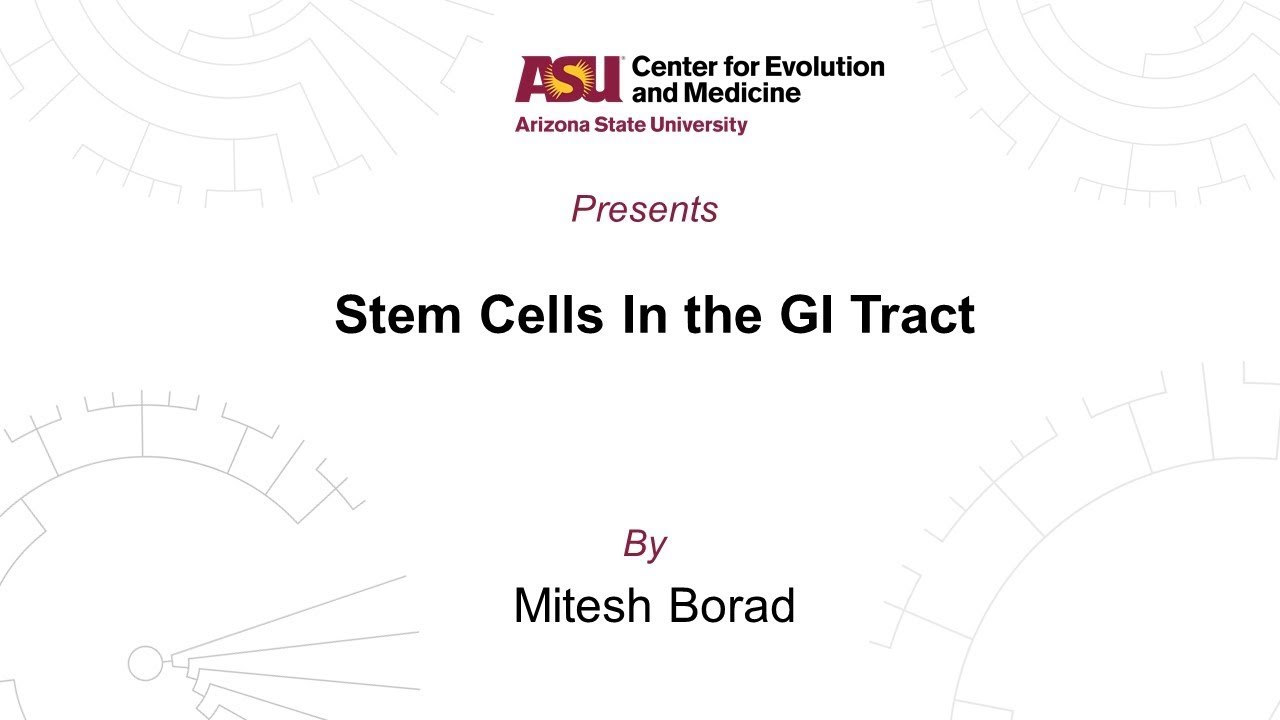 Stem Cells In the GI Tract | Mitesh Borad
