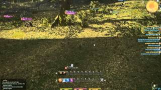 Final Fantasy XIV A Realm Reborn - Levequest Too Close To Home 2560x1600