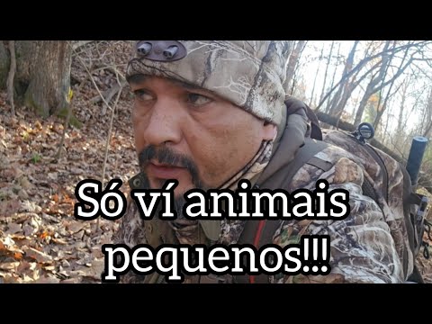 I only saw small and young animals!!