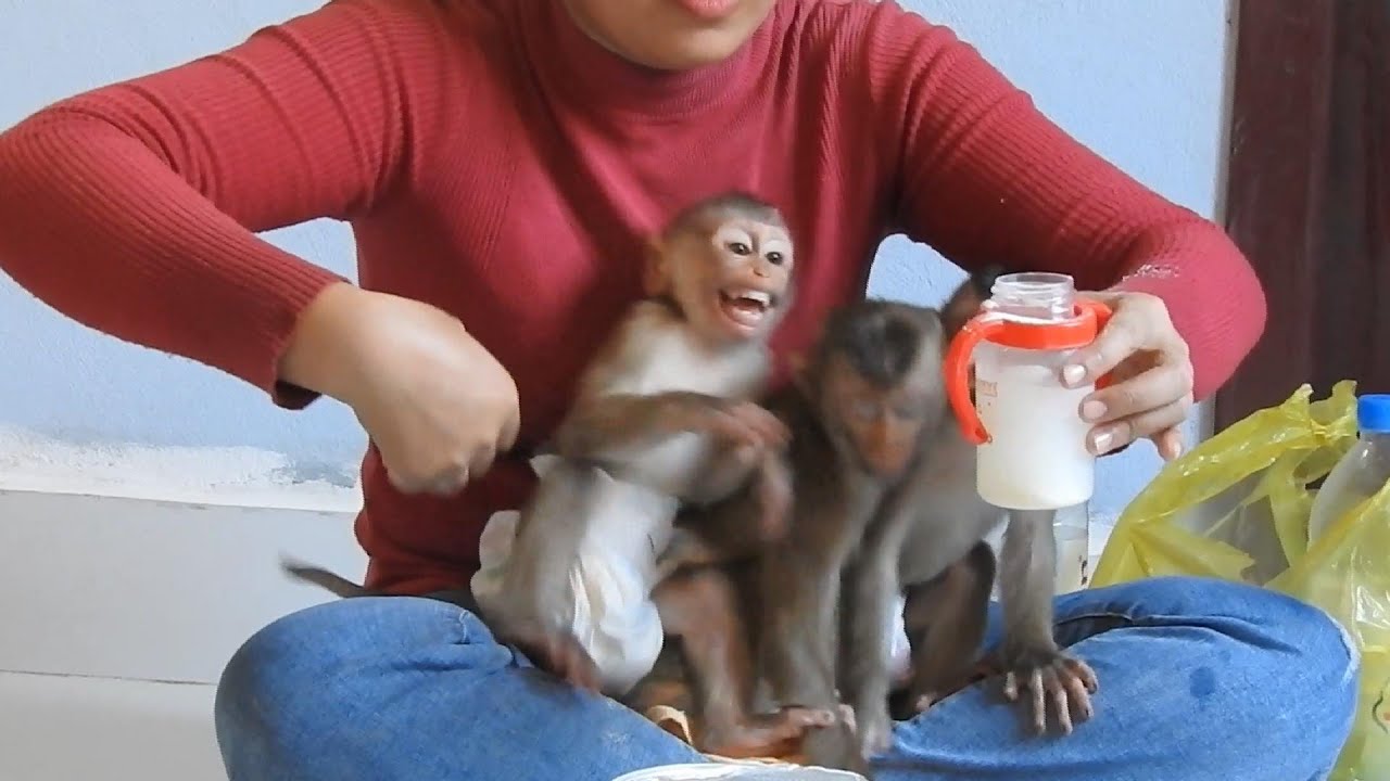 Ploy Crying Loudly Request Mom Make Quick  Milk