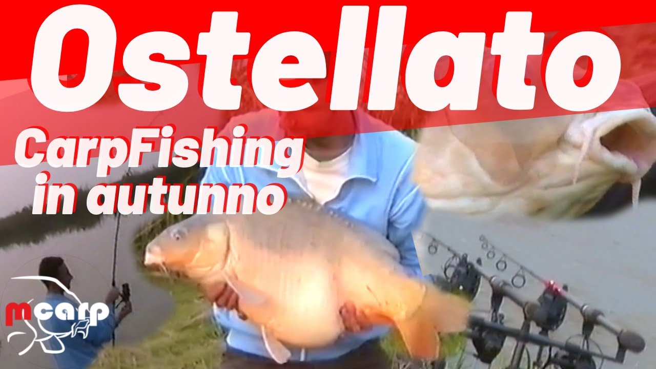 Ostellato Carpfishing in autunno 