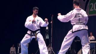 Prearranged Sparring - Senior Male - Finals Gala - Itf World Cup 2016 - Budapest
