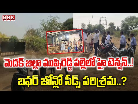 మెదక్ జిల్లా ముస్సిరెడ్డి పల్లెలో 'హై టెన్షన్.. బఫర్ జోన్లో సీడ్స్ పరిశ్రమ..? Medak |  BRK News - TV9