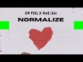Dr Feel NAE SA Normalize Original Mix mp3