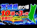 【保存版】茨城の海釣りスポット10選!車横付け・トイレ・釣具店まで現地調査【2026年最新版】