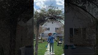 Tackling the large trellis! Using my new 🌿 SEESII 6-in-1 Cordless Pole Saw &amp; Hedge Trimmer Combo 🌿