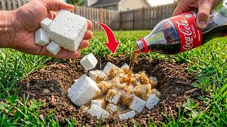 Pour Styrofoam And Coca-Cola Into A Hole! Half The World Will Be Shocked | Inventor Clever