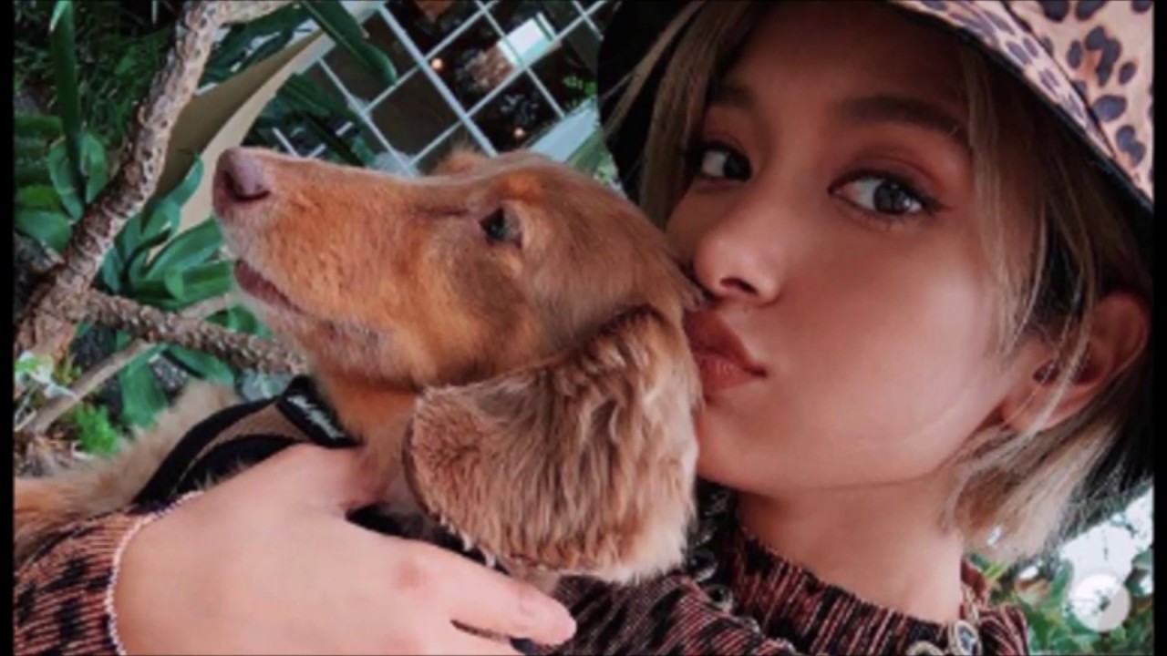 ローラさんの愛犬 モカ と ラテ が可愛すぎる 芸能人の飼っている愛犬のまとめ５ Youtube