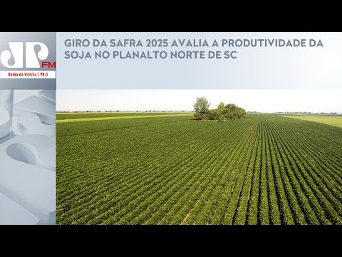 GIRO DA SAFRA 2025 AVALIA A PRODUTIVIDADE DA SOJA NO PLANALTO NORTE DE SC