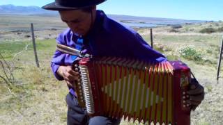 Video thumbnail of "Puestereando y tocando un chamamé en la  Patagonia #PuesteroyAcordeonista"