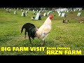 Big Farm Visit Riche Obordo - RRZN FARM