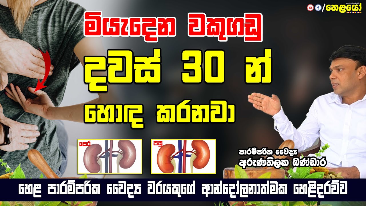 මියැදෙන වකු ගඩු දවස් 30 න් හොඳ කරනවා Ayurvedic retreatment for Kidney