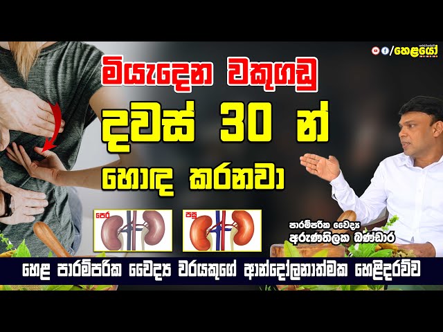 මියැදෙන වකු ගඩු දවස් 30 න් හොඳ කරනවා - Ayurvedic retreatment for Kidney Disease in Sri Lanka